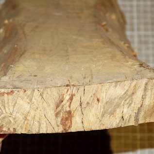 Birch, approx. 320 x 150 x 40 mm, 1,4 kg