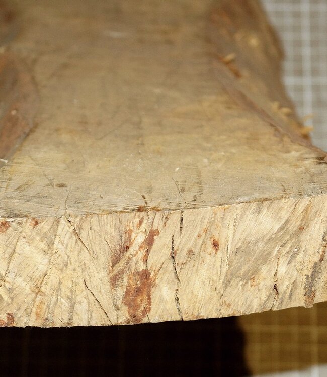 Birch, approx. 320 x 150 x 40 mm, 1,4 kg