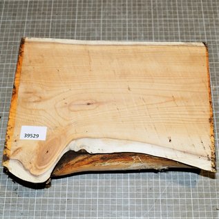 Yew, approx. 300 x 180/220 x 88 mm, 3,1 kg