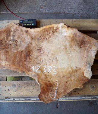 Pappel Maserplatte, ca. 1000 x 680/350 x 65 mm, 12383