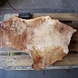 Mappa Burl slab, approx. 1000 x 680/350 x 65 mm, 12383