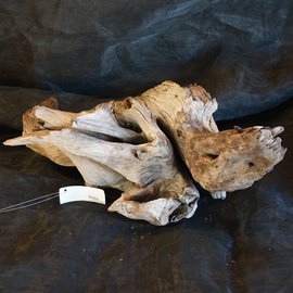 Mopane root - sculpture, approx. 65 x 30 x 13 cm, 91503