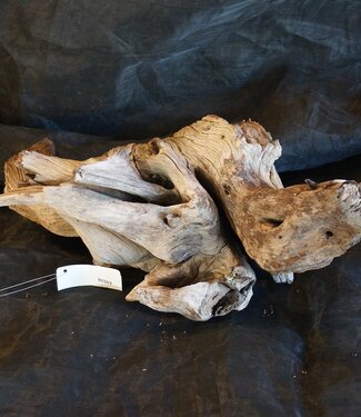 Mopane Wurzel - Skulptur, ca. 65 x 30 x 13 cm, 91503