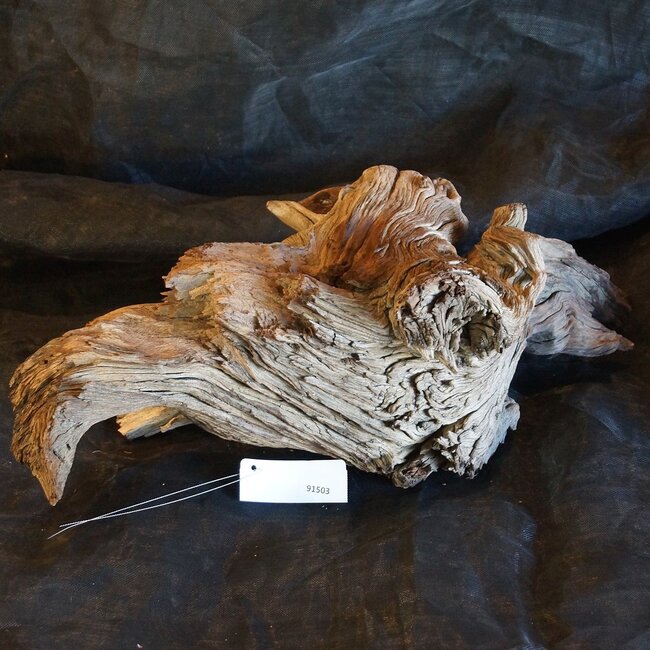 Mopane root - sculpture, approx. 65 x 30 x 13 cm, 91503