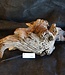 Mopane root - sculpture, approx. 65 x 30 x 13 cm, 91503