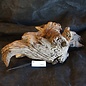 Mopane root - sculpture, approx. 65 x 30 x 13 cm, 91503