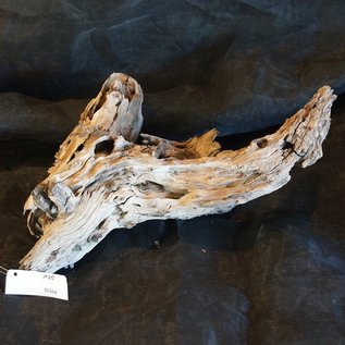 Mopane root - sculpture, approx. 45 x 45 x 19 cm, 91504