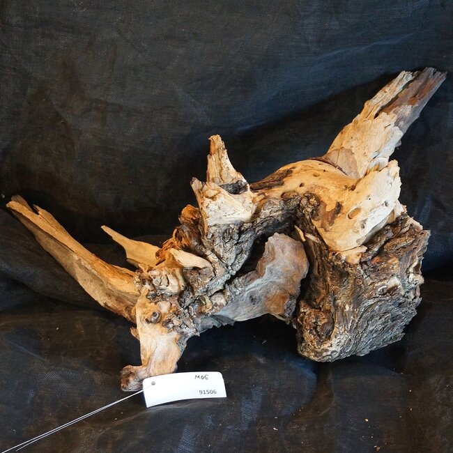 Mopane root - sculpture, approx. 70 x 55 x 30 cm, 91506