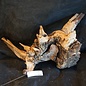 Mopane root - sculpture, approx. 70 x 55 x 30 cm, 91506