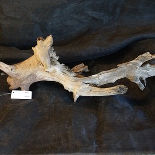 Mopane root - sculpture, approx. 85 x 30 x 30 cm, 91507