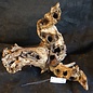 Mopane root - sculpture, approx. 50 x 50 x 50 cm, 91509