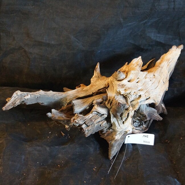 Mopane Wurzel - Skulptur, ca. 75 x 35 x 40 cm, 91510