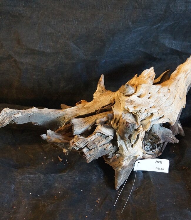 Mopane root - sculpture, approx. 75 x 35 x 40 cm, 91510