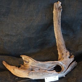 Mopane root - sculpture, approx. 70 x 40 x 25 cm, 91511