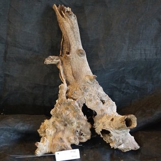 Mopane root - sculpture, approx. 70 x 45 x 30 cm, 91513