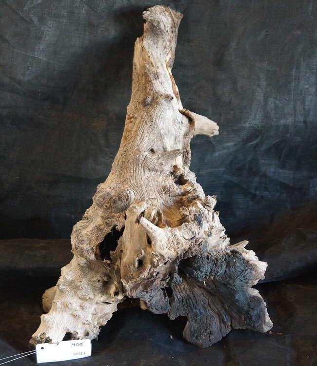 Mopane root - sculpture, approx. 70 x 45 x 30 cm, 91513