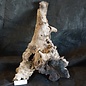 Mopane root - sculpture, approx. 70 x 45 x 30 cm, 91513