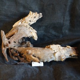 Mopane root - sculpture, approx. 80 x 50 x 30 cm, 91517