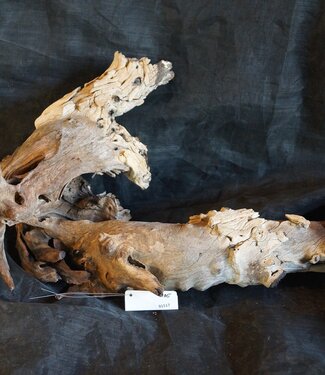 Mopane root - sculpture, approx. 80 x 50 x 30 cm, 91517