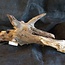 Mopane root - sculpture, approx. 90 x 50 x 35 cm, 91522