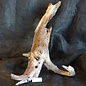 Mopane root - sculpture, approx. 90 x 50 x 35 cm, 91522