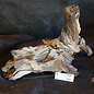 Mopane root - sculpture, approx. 50 x 40 x 30 cm, 91531