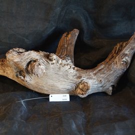 Mopane root - sculpture, approx. 95 x 45 x 30 cm, 91532