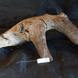 Mopane root - sculpture, approx. 95 x 45 x 30 cm, 91532