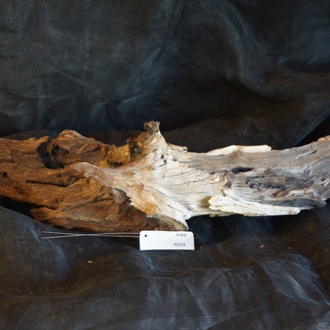 Mopane Wurzel - Skulptur, ca. 100 x 35 x 20 cm, 91533