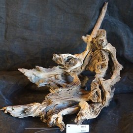 Mopane root - sculpture, approx. 70 x 40 x 26 cm, 91537