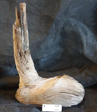 Mopane root - sculpture, approx. 55 x 35 x 20 cm, 91521