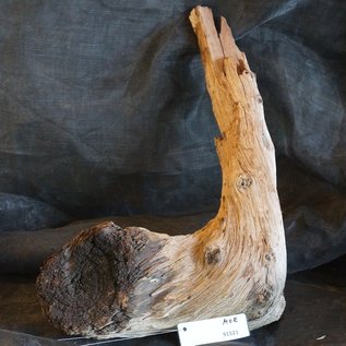 Mopane root - sculpture, approx. 55 x 35 x 20 cm, 91521