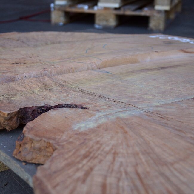 Madrona Burl slab, approx. 1060 x 760 x 30 mm, 12368 ab