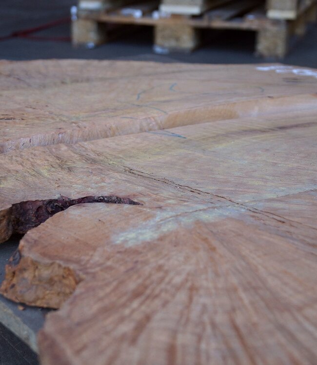 Madrona Burl slab, approx. 1060 x 760 x 30 mm, 12368 ab