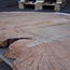 Madrona Burl slab, approx. 1060 x 760 x 30 mm, 12368 ab