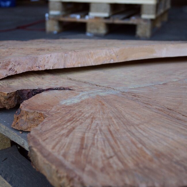 Madrona Maserplatte, ca. 1060 x 760 x 30 mm, 12368 ab