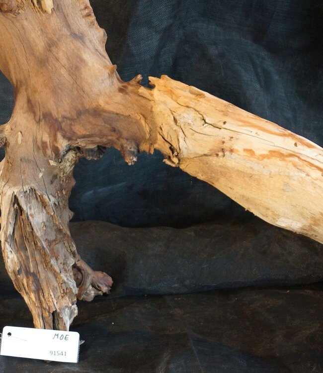 Mopane root - sculpture, approx. 100 x 50 x 27 cm, 91541