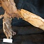 Mopane root - sculpture, approx. 100 x 50 x 27 cm, 91541