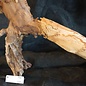 Mopane root - sculpture, approx. 100 x 50 x 27 cm, 91541