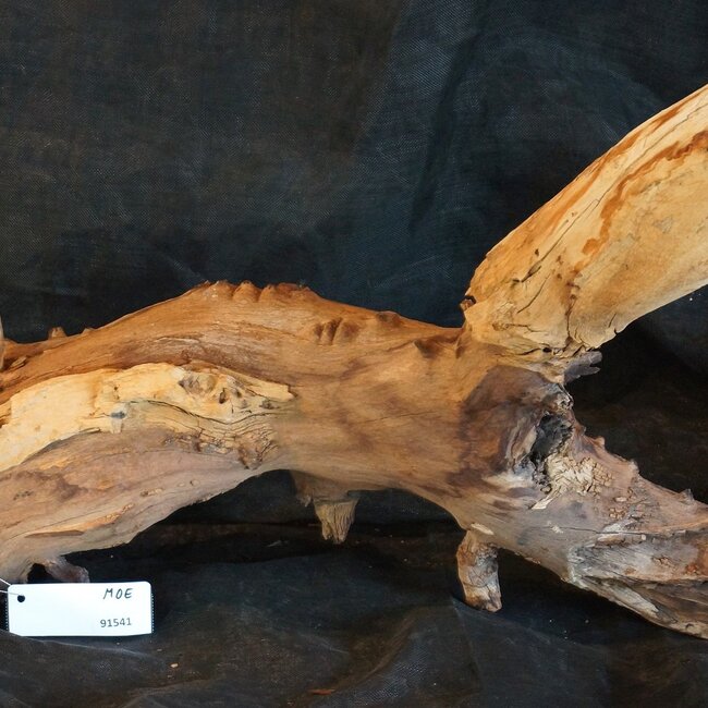 Mopane root - sculpture, approx. 100 x 50 x 27 cm, 91541