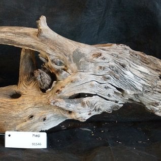 Mopane root - sculpture, approx. 90 x 20 x 15 cm, 91546