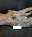 Mopane Wurzel - Skulptur, ca. 85 x 21 x 25 cm, 91547