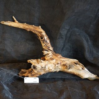 Mopane Wurzel - Skulptur, ca. 80 x 35 x 12 cm, 91548