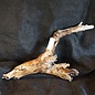 Mopane root - sculpture, approx. 80 x 35 x 12 cm, 91548