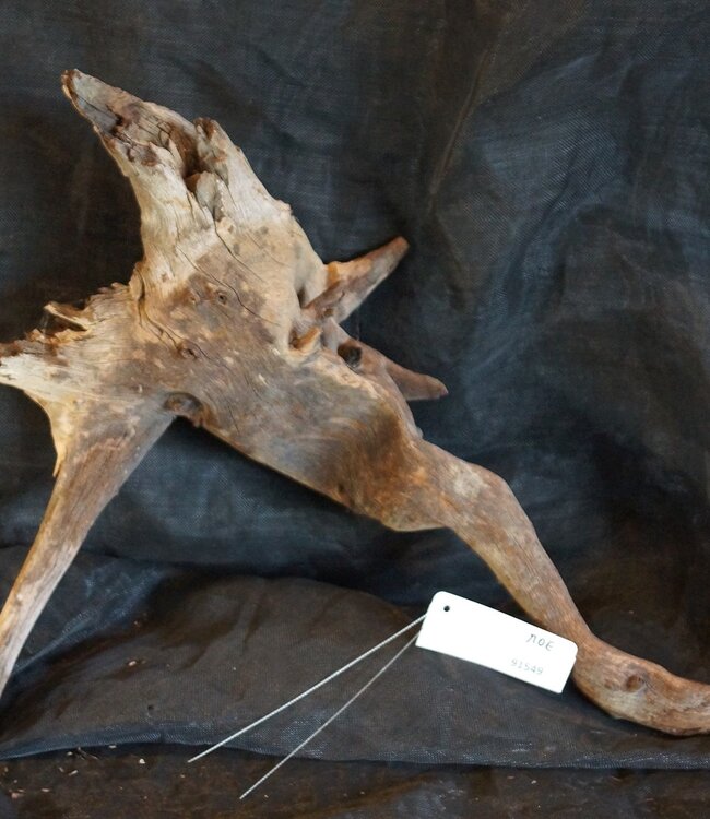 Mopane root - sculpture, approx. 60 x 40 x 15 cm, 91549