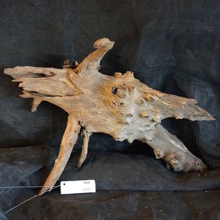 Mopane root - sculpture, approx. 70 x 40 x 50 cm, 91550