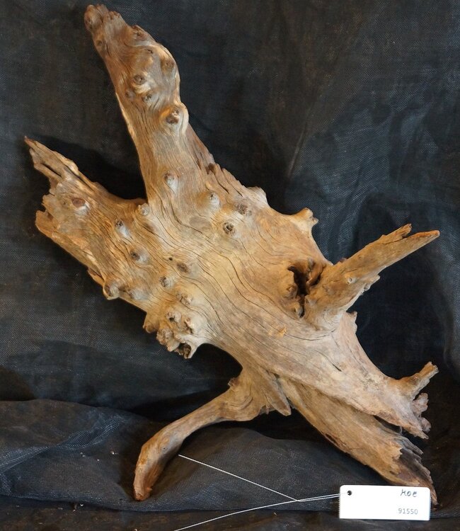 Mopane root - sculpture, approx. 70 x 40 x 50 cm, 91550