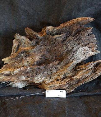 Mopane root - sculpture, approx. 60 x 38 x 25 cm, 91551