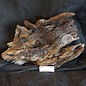 Mopane root - sculpture, approx. 60 x 38 x 25 cm, 91551