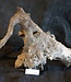 Mopane root - sculpture, approx. 55 x 35 x 30 cm, 91552